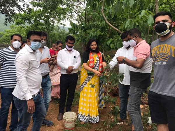 Tree Plantation
