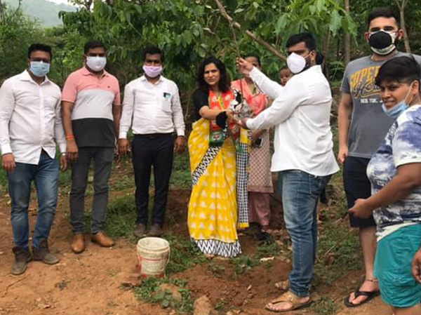 Tree Plantation