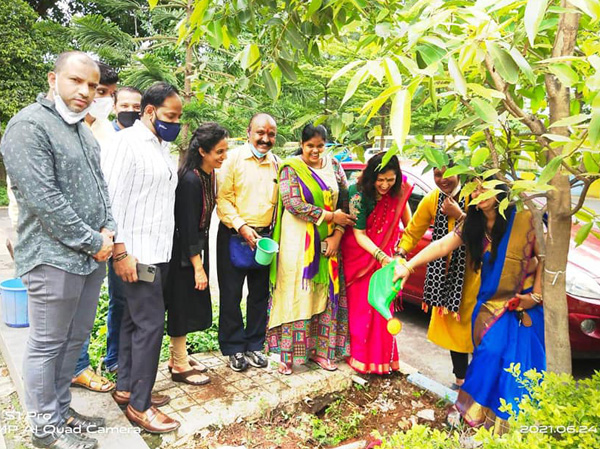 Tree Plantation